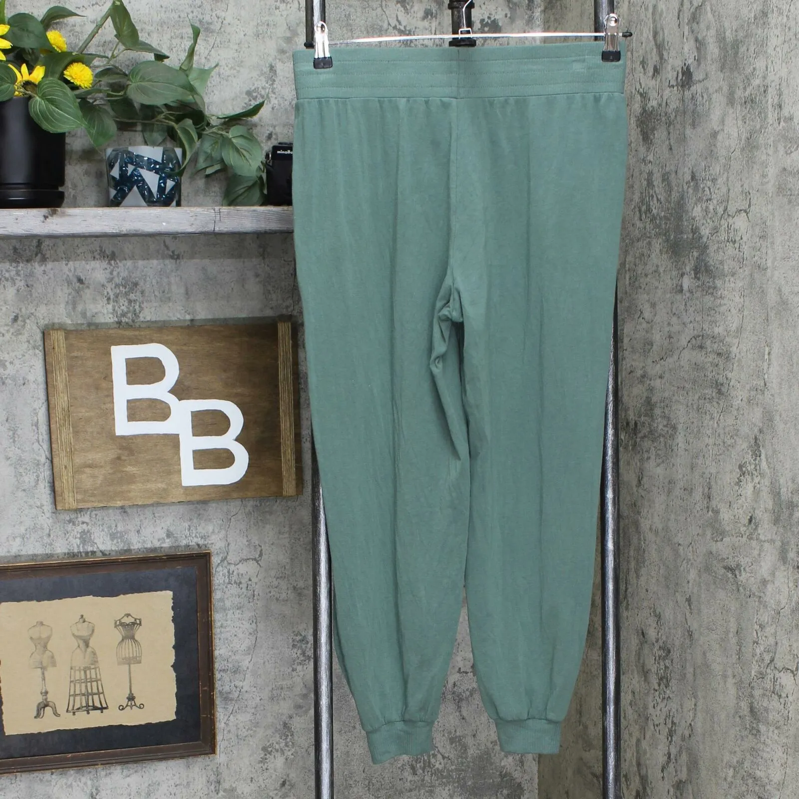 AnyBody Women's Cozy Knit Ribbed Jogger Pants Duck Green Small