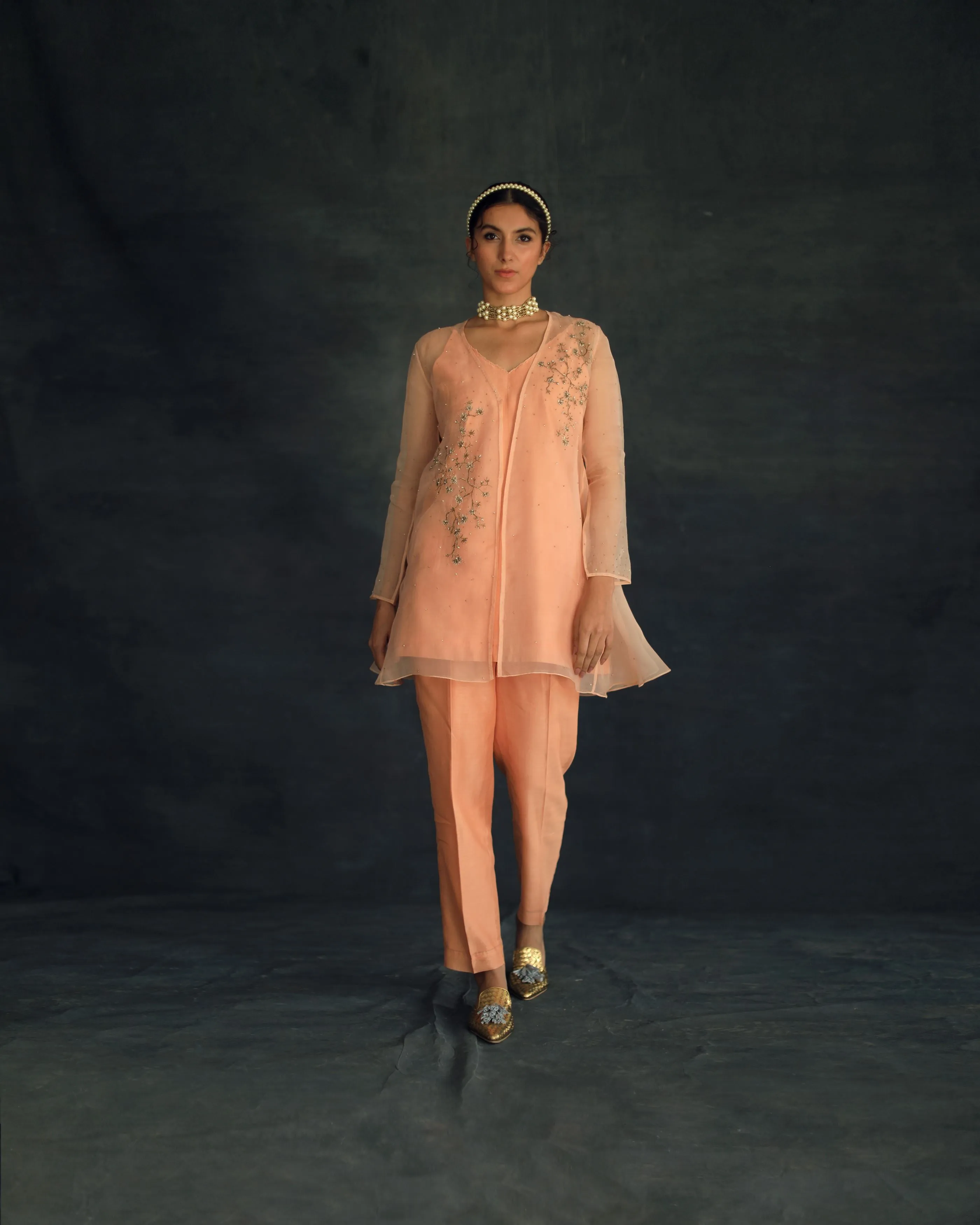 Shikha Mehta Kim Apricot Zahi Cape Set Silk Organza Silk Chanderi Peach Hana Ss21F-Zc