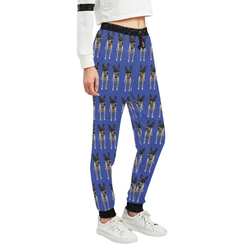 Toy Fox Terrier Pants